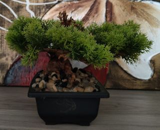 Bonsai artificial realizado a mano.