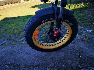 Bicicletta elettrica