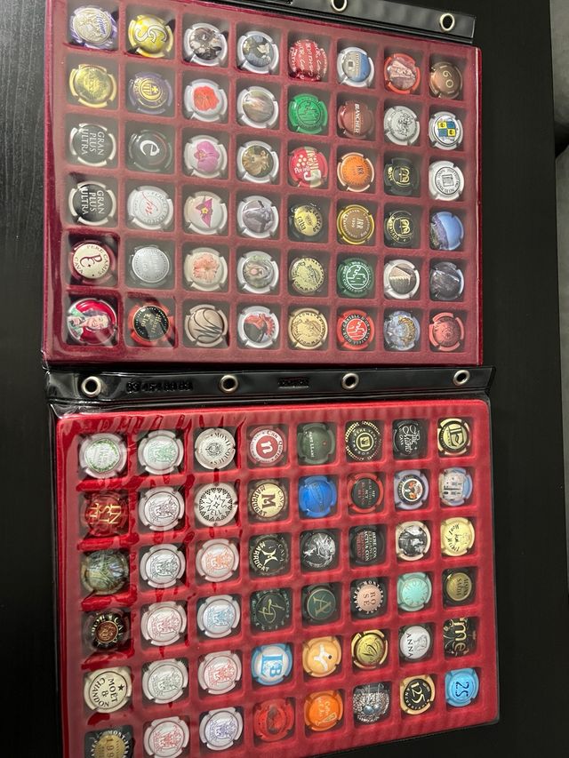 Coleção de 1156 Cava Veneers + organizadores