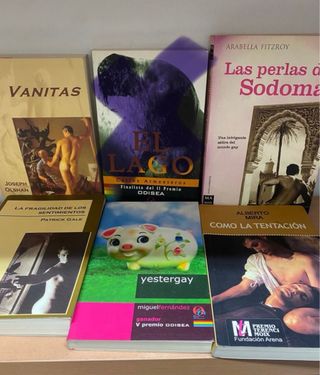 LIBROS NOVELAS LGTBI