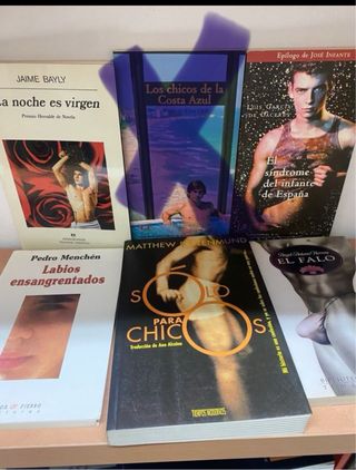 LIBROS NOVELAS LGTBI