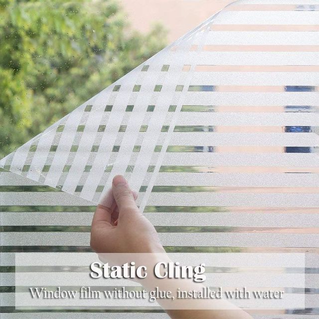 Película para ventana Lifetree