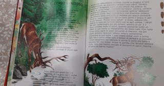 Collection 4 libri di fiabe