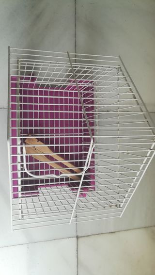 Jaula para pájaros