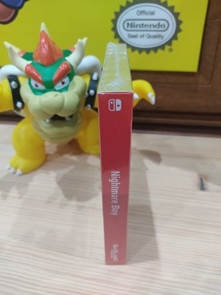 Nightmare boy Switch 
