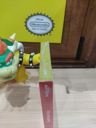 Nightmare boy Switch 