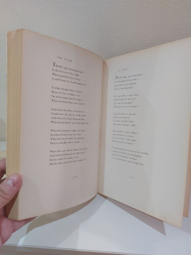 Los bosques de la noche