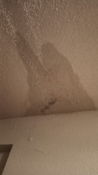 REPARACIÓN DE TEJADOS