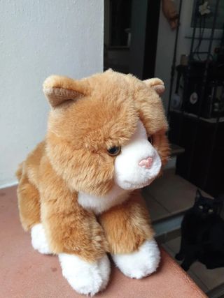 Peluche Gattino Marrone