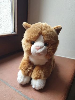 Peluche Gattino Marrone