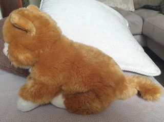 Peluche Gattino Marrone