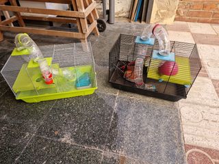 Jaula roedores y acesorios, tubos juegos etc..