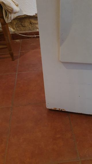 secadora de evacuación