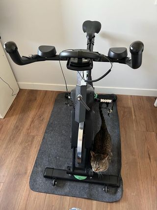 Bici de spinning en perfectas condiciones 