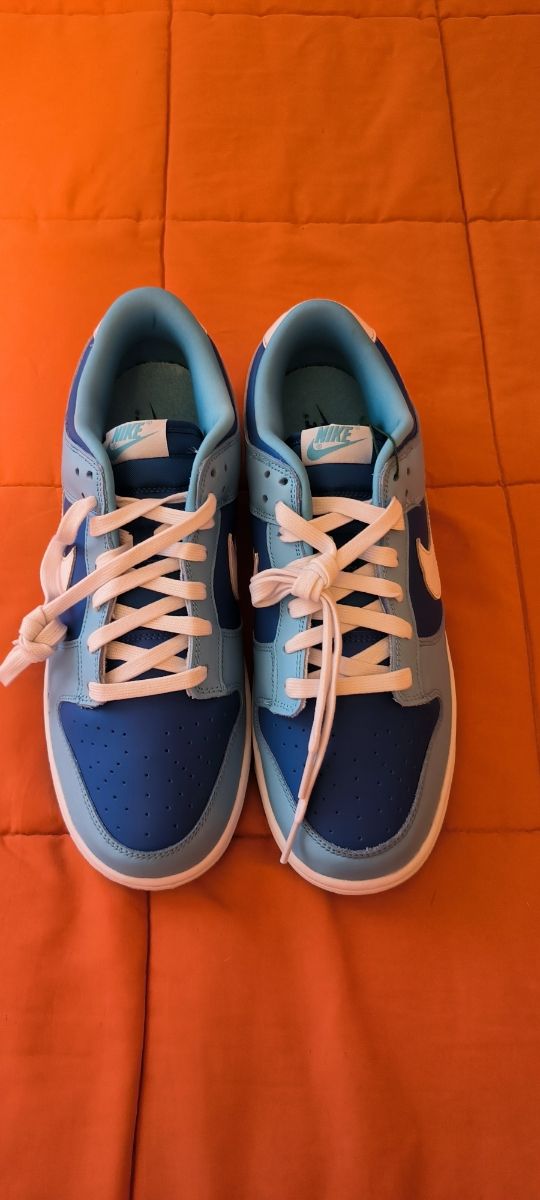 ✅ Dunk Low Retro QS Argon