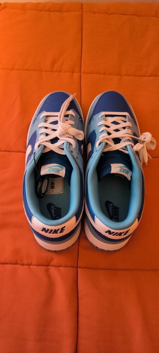 ✅ Dunk Low Retro QS Argon