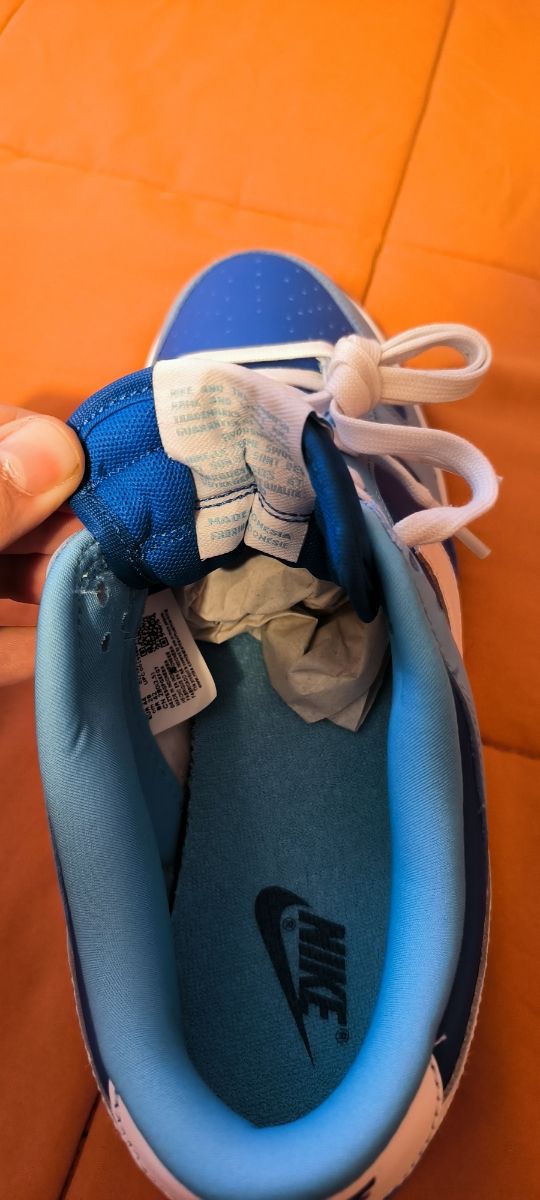 ✅ Dunk Low Retro QS Argon