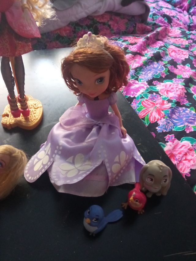 Pack muñecas variadas