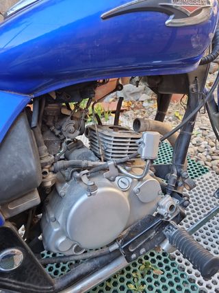 Kawasaki eliminator 125cc