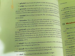 DIACHRONY AND TYPOLOGY OF THE ENGLISH LANGUAGE