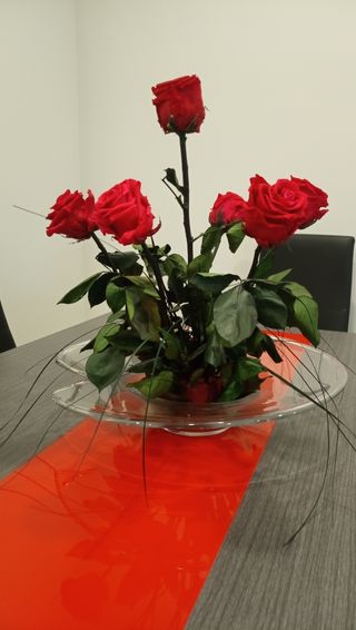 Centro de mesa: Rosas Rojas Preservadas