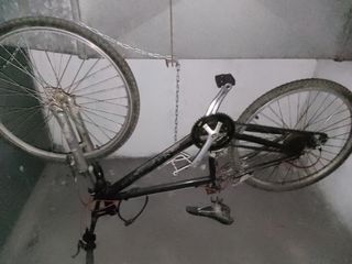 Vendo 3 bicicletas. Por mudanza
