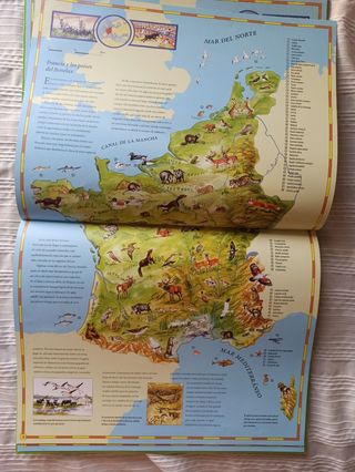 Atlas infantil de animales