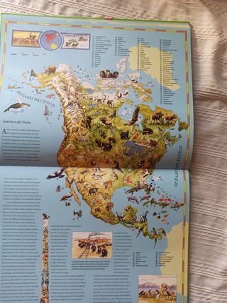 Atlas infantil de animales