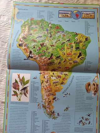 Atlas infantil de animales