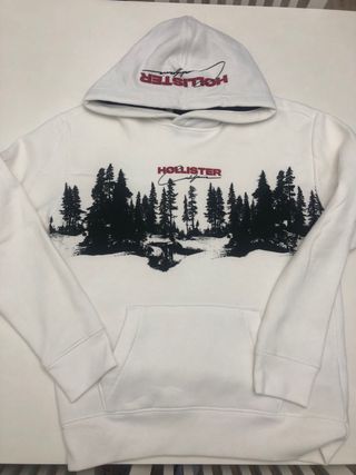 sudadera hollister