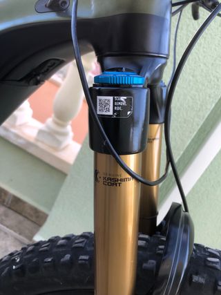 Ebike Giant Reing E+0 Tope Gama