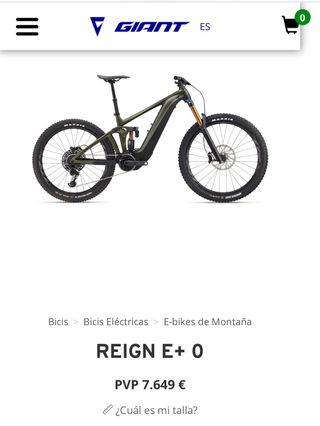 Ebike Giant Reing E+0 Tope Gama