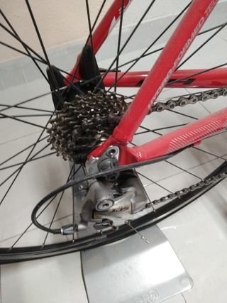 Bicicleta BH sphene 6.8