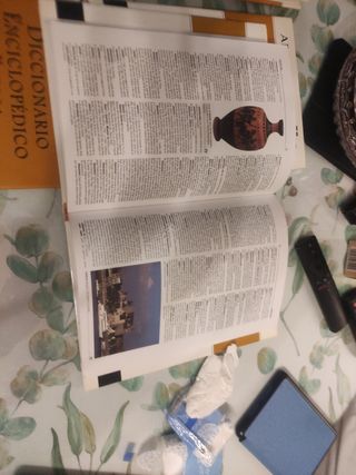 DICCIONARIO ENCICLOPEDICO ESPASA