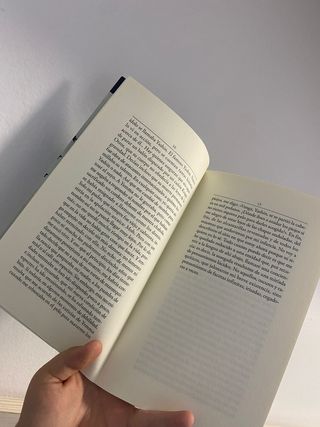 Novela de Mahi Binebine: Los Caballos De Dios