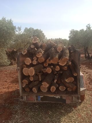 Se vende leña de olivo