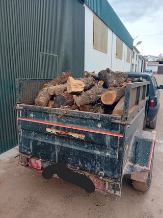 Se vende leña de olivo