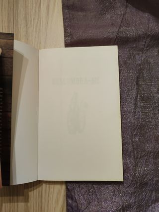 Deslumbra-me- Maggie Shipstead