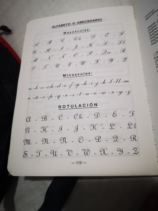 Libro de faltas de ortografía