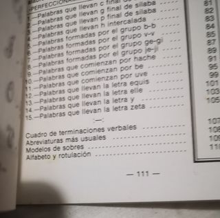 Libro de faltas de ortografía