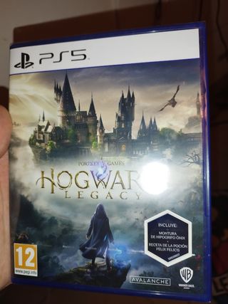 Hogwarts Legacy Ps5