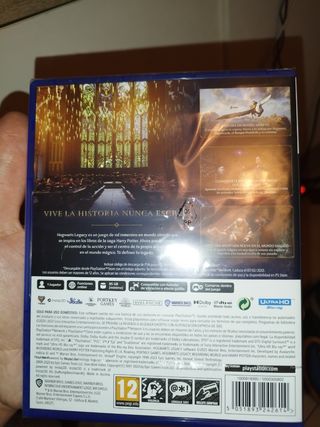 Hogwarts Legacy Ps5
