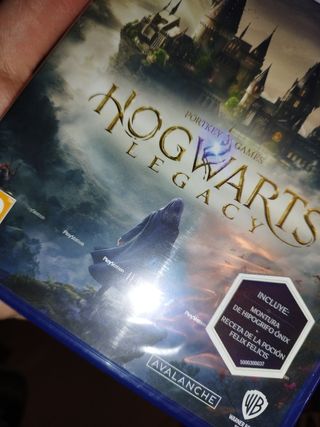 Hogwarts Legacy Ps5