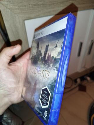 Hogwarts Legacy Ps5