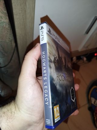 Hogwarts Legacy Ps5