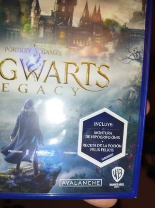 Hogwarts Legacy Ps5