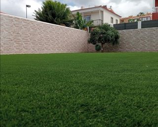 Jardinero economíco 