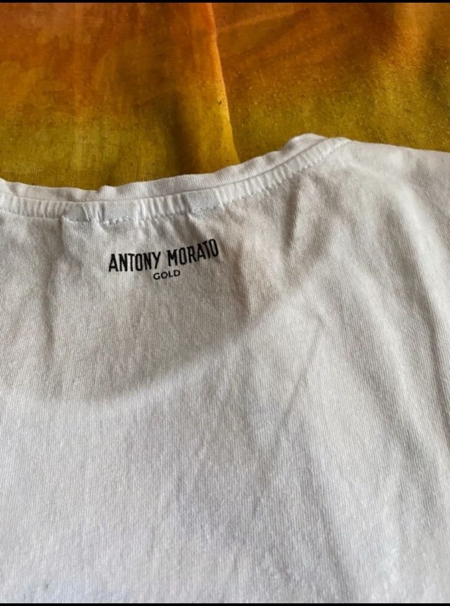 t shirt  Antony Morato tg M 10 anni