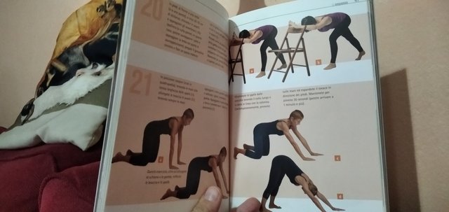 Libro stretching facile