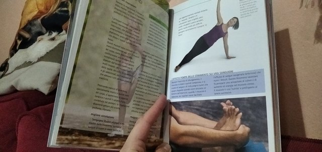 Libro stretching facile